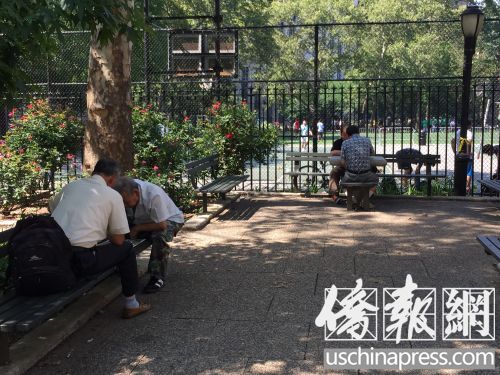 在华埠哥伦布公园乘凉的华裔耆老。（美国《侨报》/陈辰
