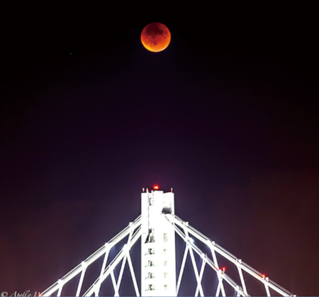 中秋夜，湾区有不少人出外拍月亮，超级红月蚀奇景拍摄不易。（美国《世界日报》/汪岩