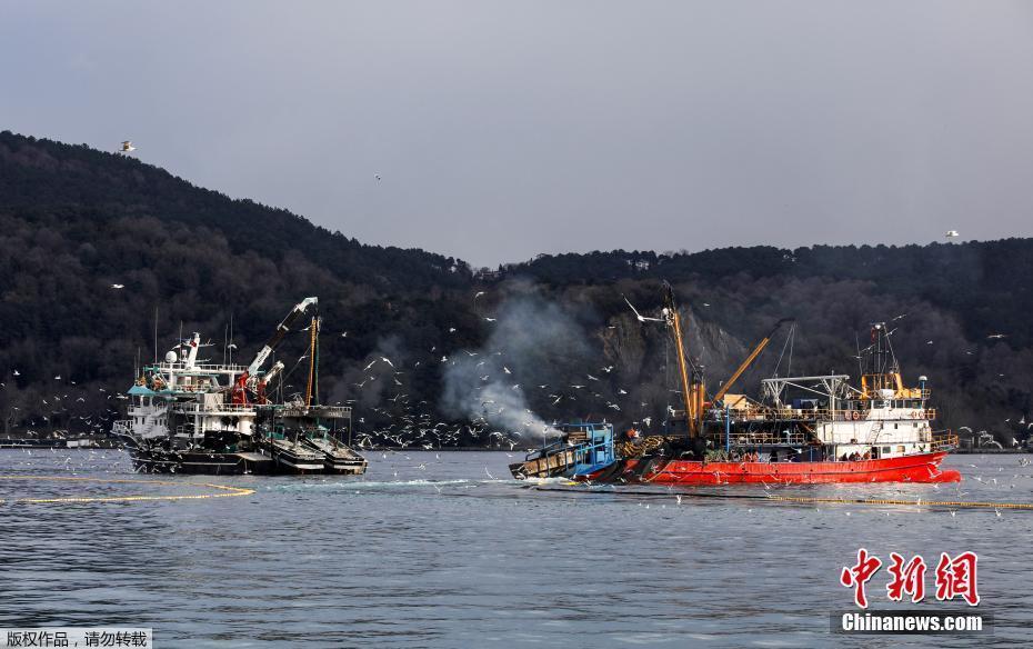 油輪故障 土耳其博斯普魯斯海峽航運暫停