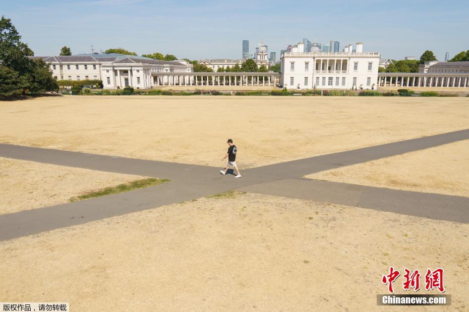 英國高溫干旱持續 倫敦公園大面積草坪干枯