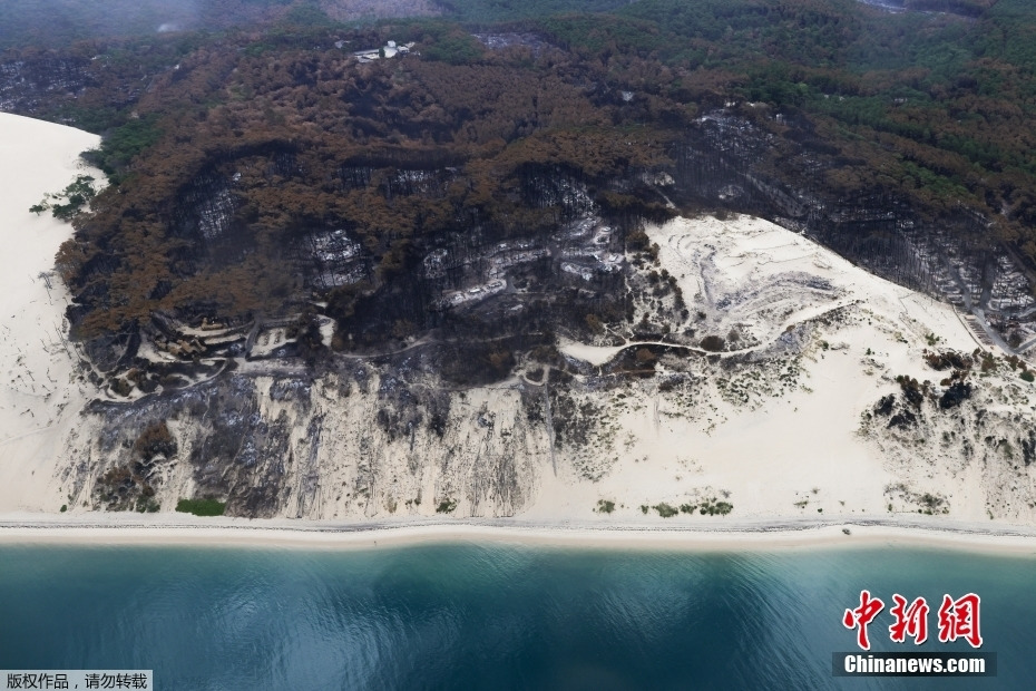 法国山林大火死死烧毁约7000公顷森林