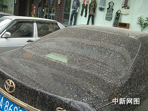 郑州昨夜一场小泥雨忙坏洗车行