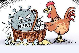 网民传播吃大盘鸡感染H7N9死亡虚假信息被