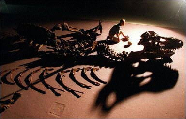 北京 澳大利亚/图文:中方就鹦鹉嘴恐龙化石被盗向澳索赔4万美元2003年08月31...