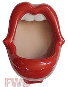 男便池形状为女性嘴唇 纽约机场厕所设计遭争