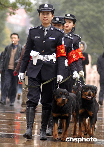 图:女子警犬巡逻队 贵阳街头的风景线