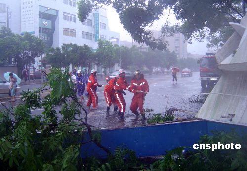 图:台风海棠给温州造成严重损失