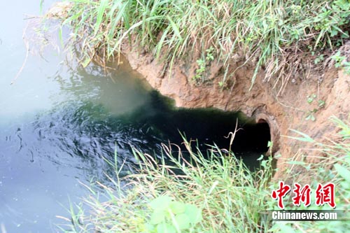 景德镇焦化厂偷排污水直入鄱阳湖支流--中新网