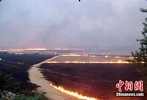 河南确山县禁烧不力 京广线两侧大量树木被焚