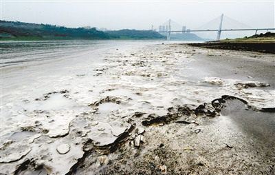 重庆长江边排污口 污水沉积将岸边染成白色(图)