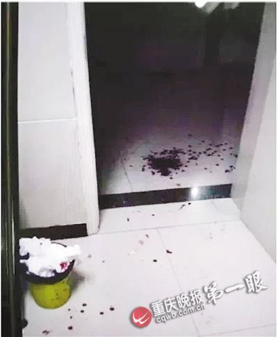 重庆一医院外科主任被砍伤3名嫌疑人已刑事拘留