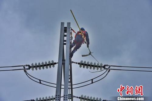 中国侨网工作人员抢修在台风中受损的电力设备　通讯员　摄