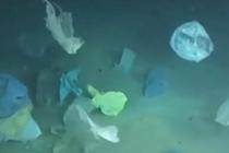 “深海勇士”曝光海底垃圾