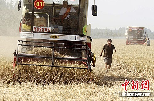 河南举办农机小麦收割竞赛(2)