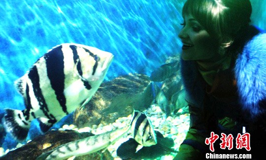 国际旅游小姐西安海洋公园与动物亲密接触(6)
