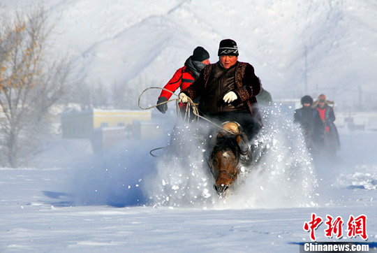 新疆阿勒泰牧民在没马深雪中骑马飞奔