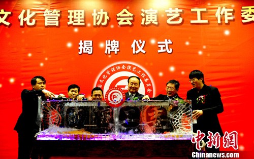 中国文化管理协会演艺工作委员会在京成立