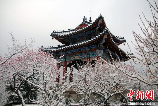 南京13日再降中雪 情人节天气有望转好