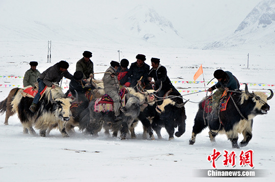 新疆塔县举办塔吉克族传统节日“肖贡巴哈尔节”