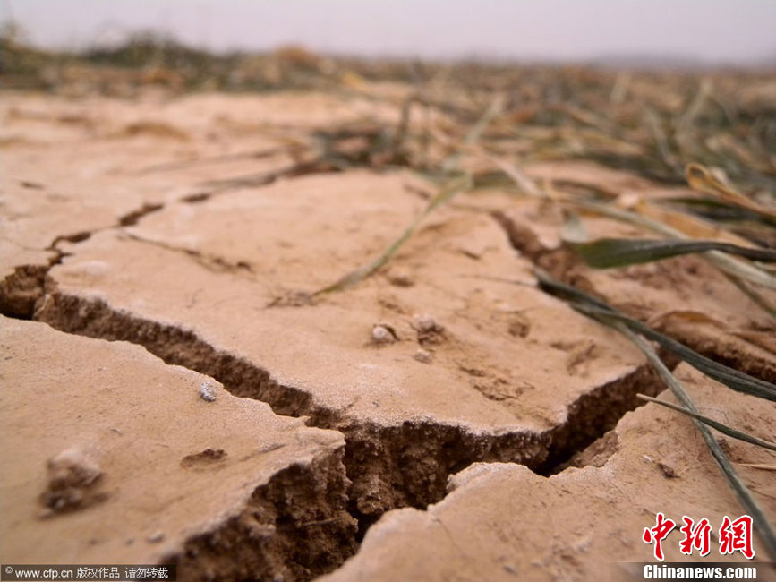 中国北方部分地区干旱持续
