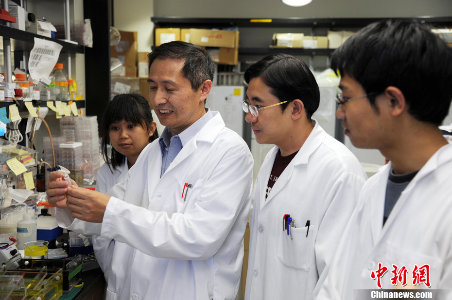 加大华裔科学家当选美国国家医学院院士