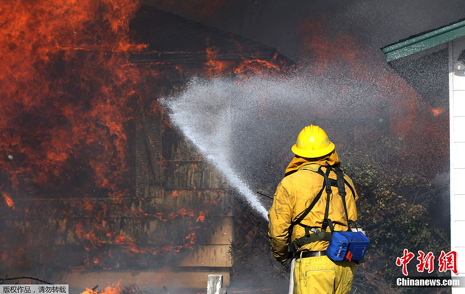 美国里诺市森林大火迫使当地近万人撤离