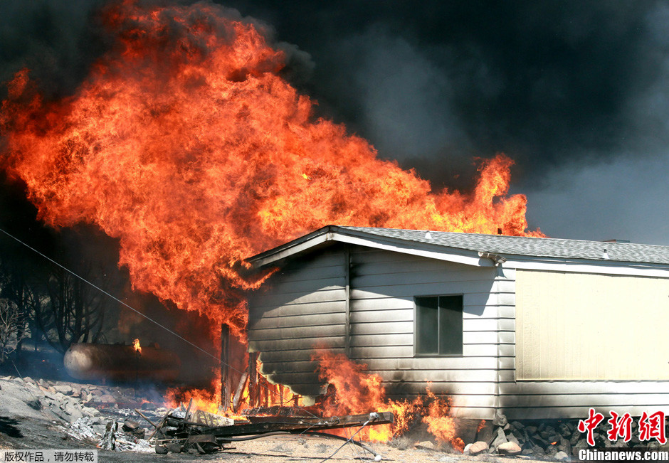 美国内华达州发生森林火灾 居民住宅被烧毁