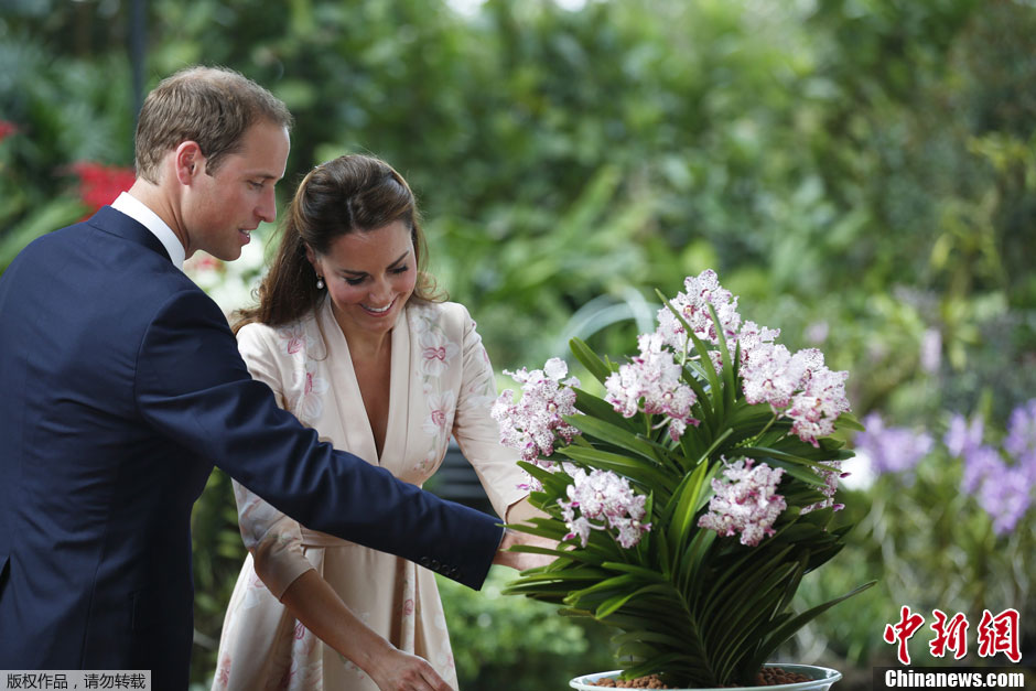 威廉王子夫妇出席以两人为名兰花命名仪式