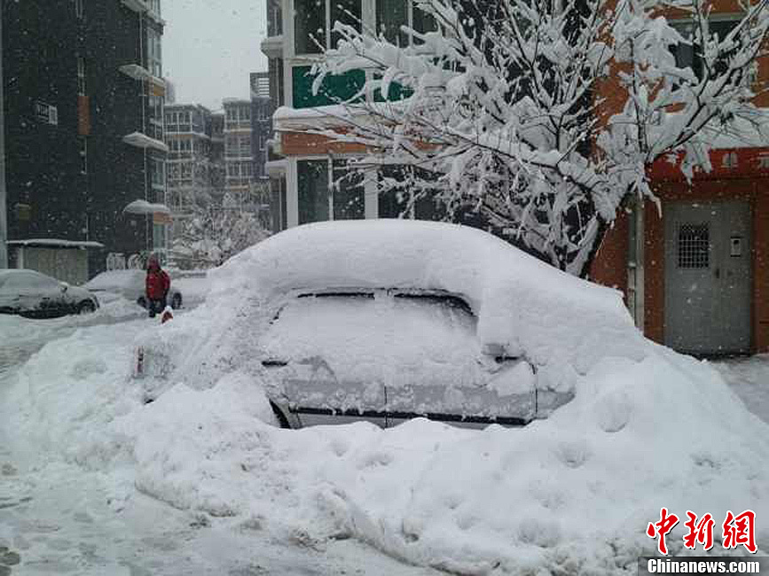 北京延庆暴雪图片