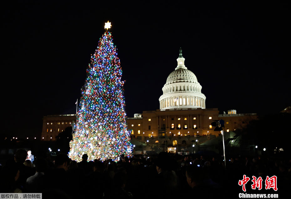 美国国会圣诞树点亮