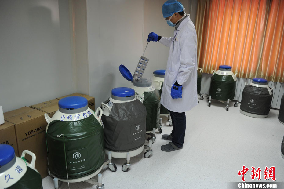 探访吉林精子库图片