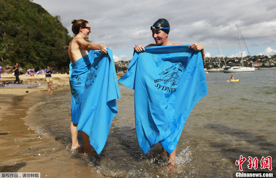 澳大利亚悉尼超过400人集体裸泳 为慈善筹集资