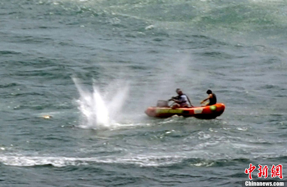 新西兰男子遭大白鲨袭击身亡