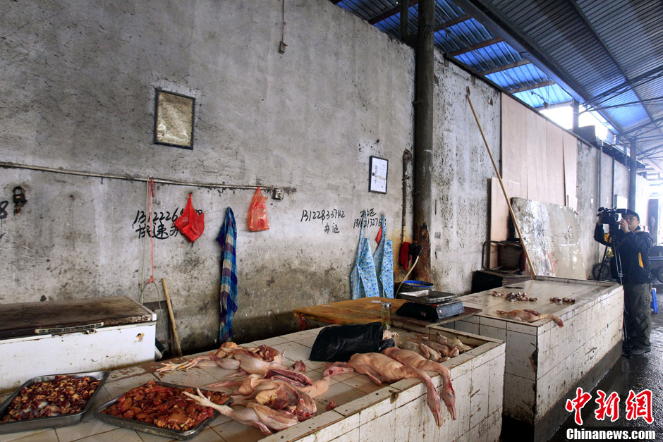 上海关闭一市场活禽交易区扑杀所有禽鸟