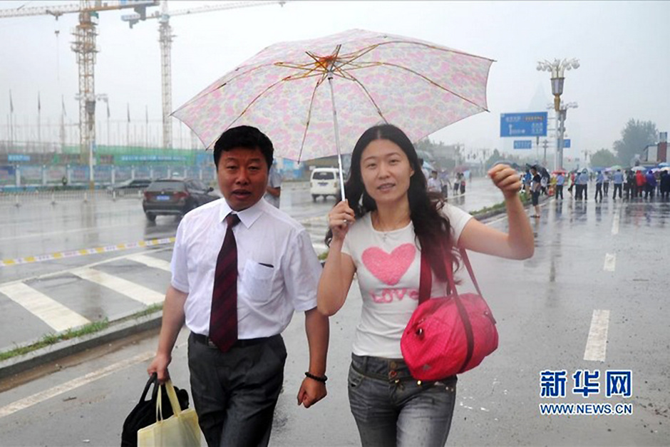 王书金案图片