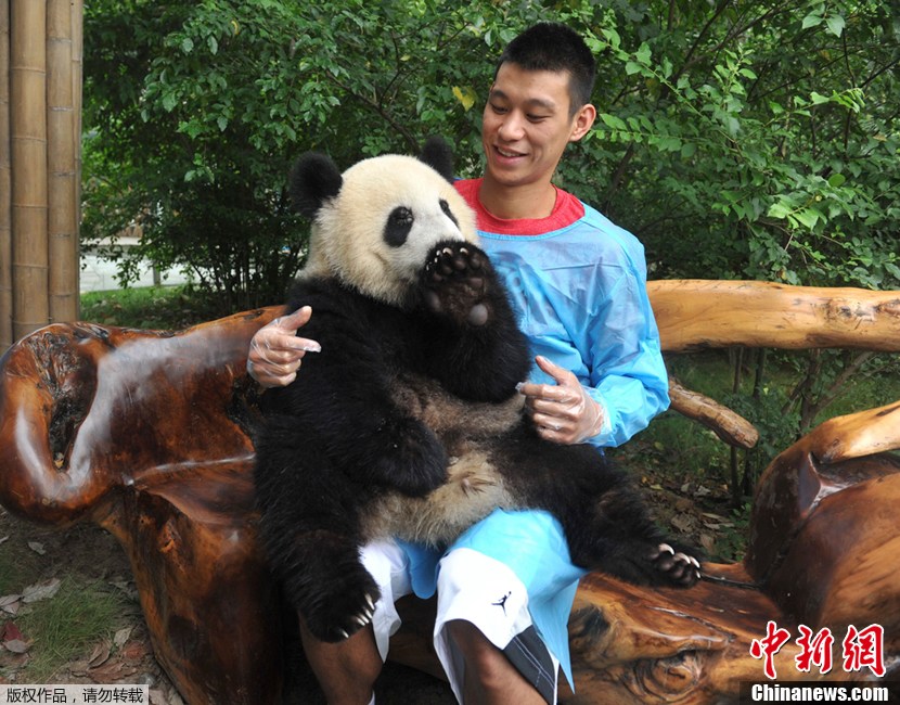 林书豪首次到访成都 与大熊猫亲密接触