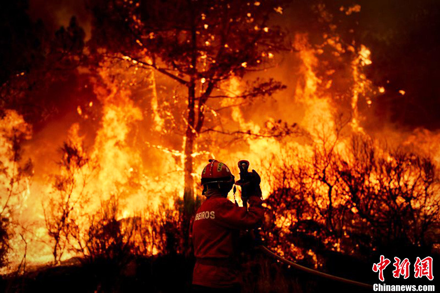葡萄牙森林火灾愈演愈烈 山民被连夜紧急转移