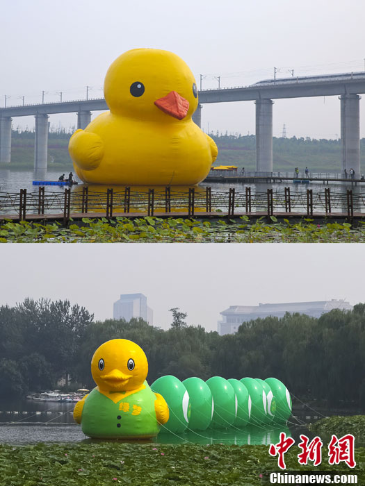 玉渊潭 大黄鸭图片