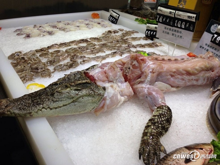 西安一超市卖鳄鱼肉引围观市民敢摸不敢买-中