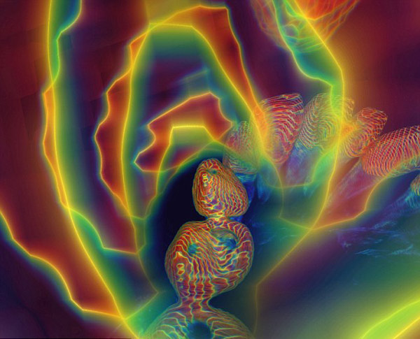 图片频道-放射学家将CT透视图拍成奇幻作品
