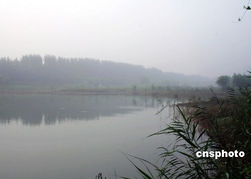 山东平阴玫瑰湖万亩湿地公园秋雾映美景