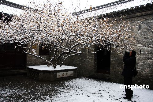 图:江苏淮安少年周恩来种植的腊梅傲雪盛开