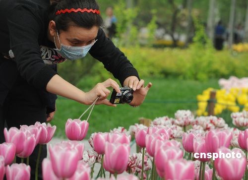 图:北京姑娘戴口罩游园拍照