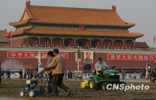 北京天安门广场开始铺设草坪
