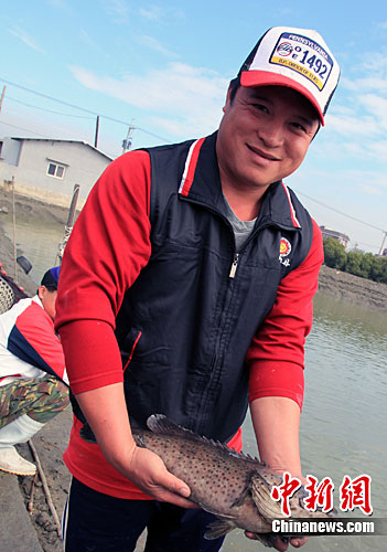 通讯:高雄探访ECFA早收清单石斑鱼养殖基地