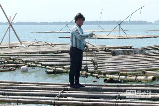 台风致嘉义牡蛎损失8亿台币部分蚵农无法获得补助