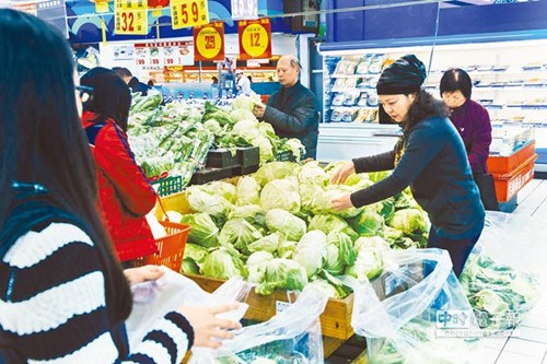 寒流过后台湾菜价飙涨卷心菜一颗百元台币（图）
