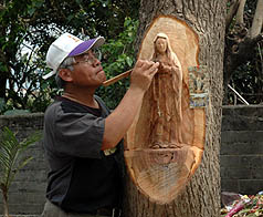图:长在树上的圣母玛利亚活雕像