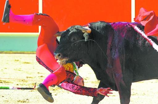 女斗牛士被公牛刺穿大腿血腥场面吓坏观众（图）