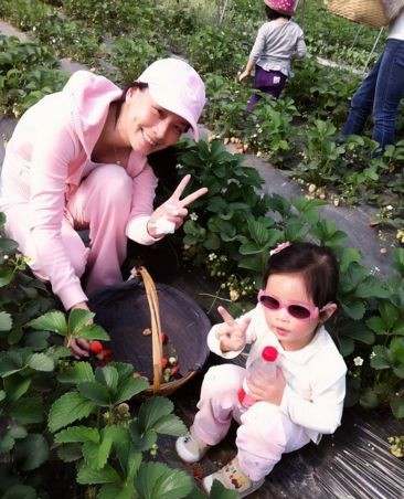 张庭林瑞阳带女儿摘草莓全家郊游其乐融融(图